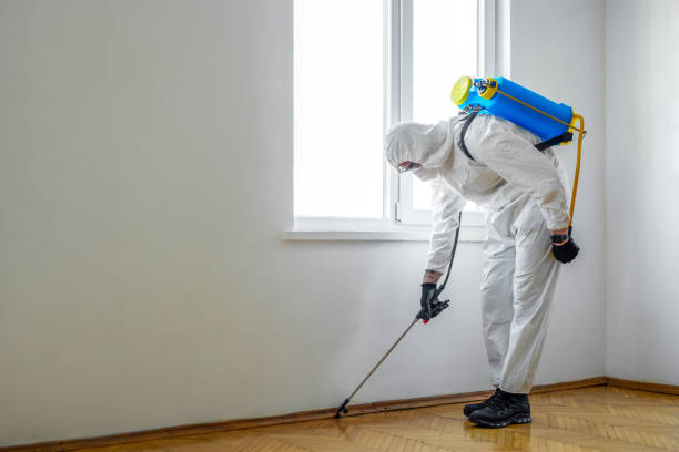 Pest Control Cost in Cherryville, PA